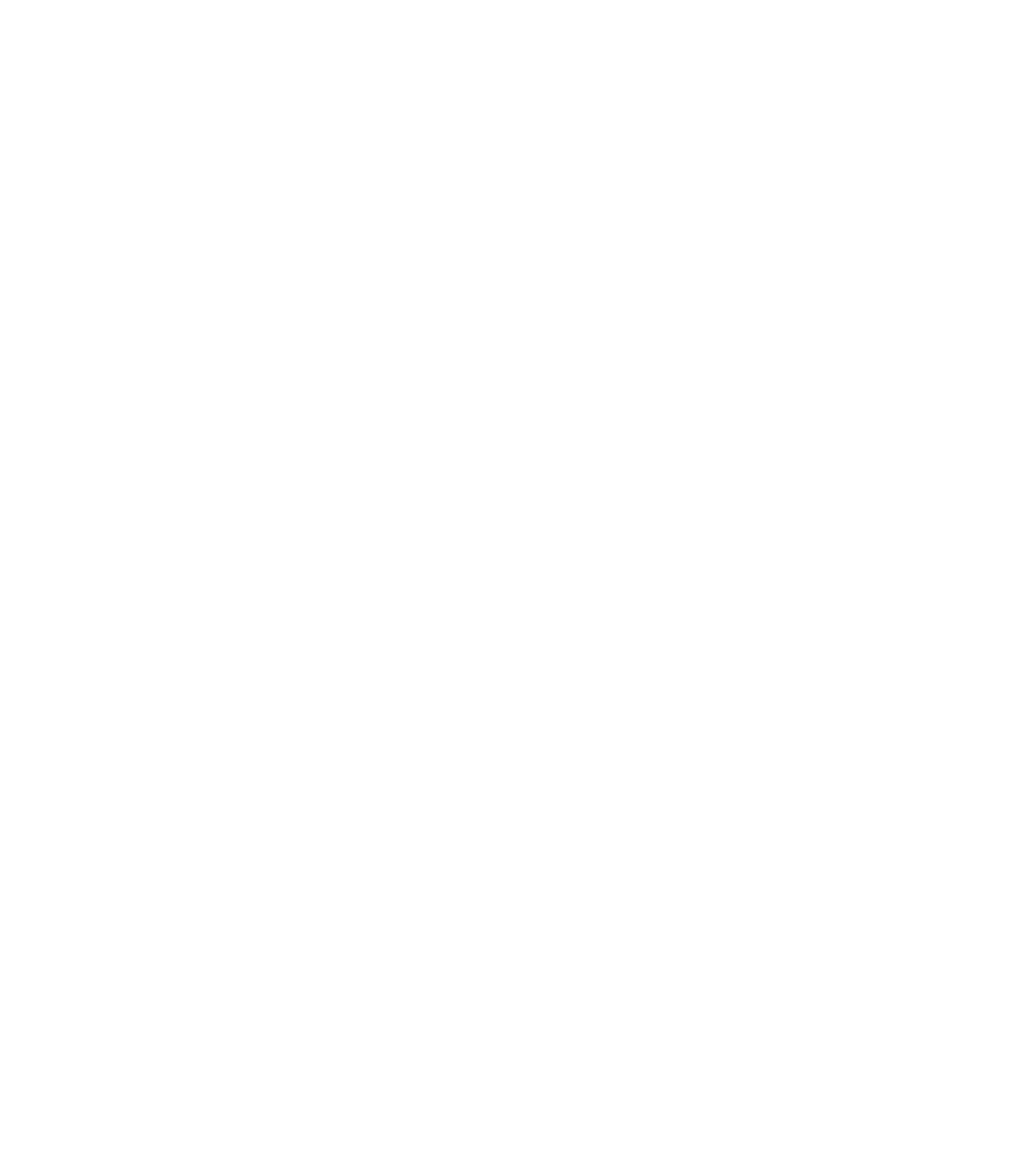 fraktlogistik_logo_symbol